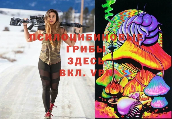 соль ск Протвино