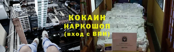 индика Приозерск