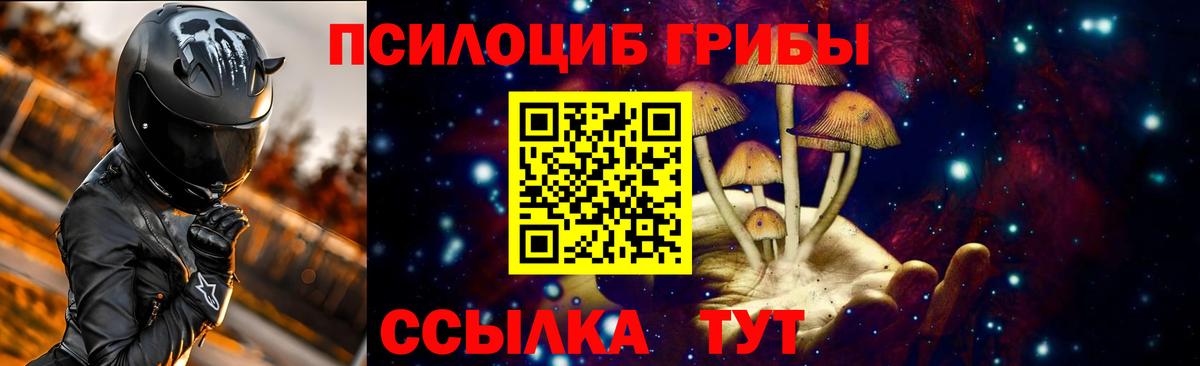 Псилоцибиновые грибы GOLDEN TEACHER  Псилоцибиновые грибы прущие грибы  Кострома  Вход с VPN 
